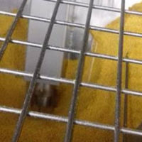 product not emptying around suction lance