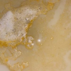 valve for food waste effluent valve for food waste effluent