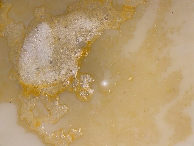 valve for food waste effluent