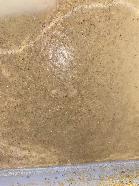 valve for food waste effluent